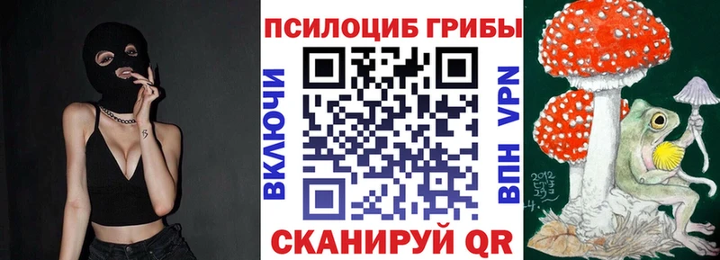 кракен ONION  наркота  Карасук  Галлюциногенные грибы мицелий 